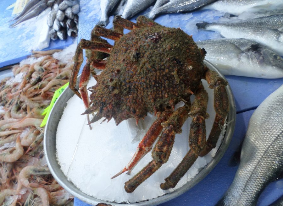 Bursa'da bir balıkçı ilk defa tezgahına gelen Hermit'i 500 liraya sattı