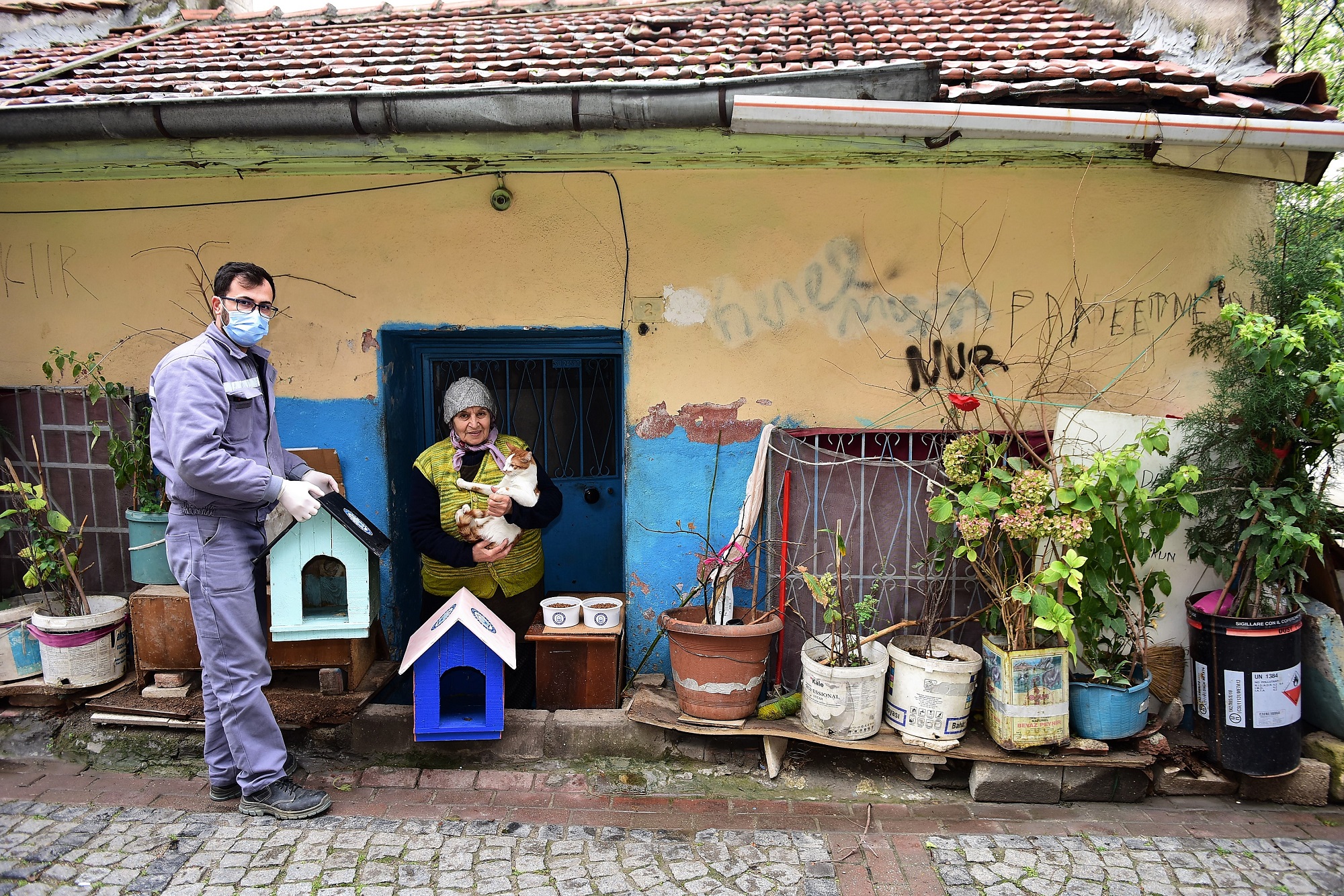 Çelenkler kediler için yuva oldu
