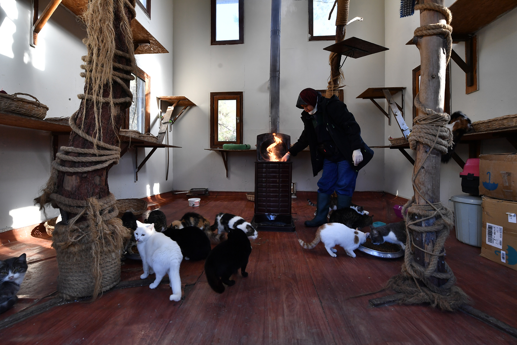 Osmangazi'de can dostlar soba keyfi yapıyor