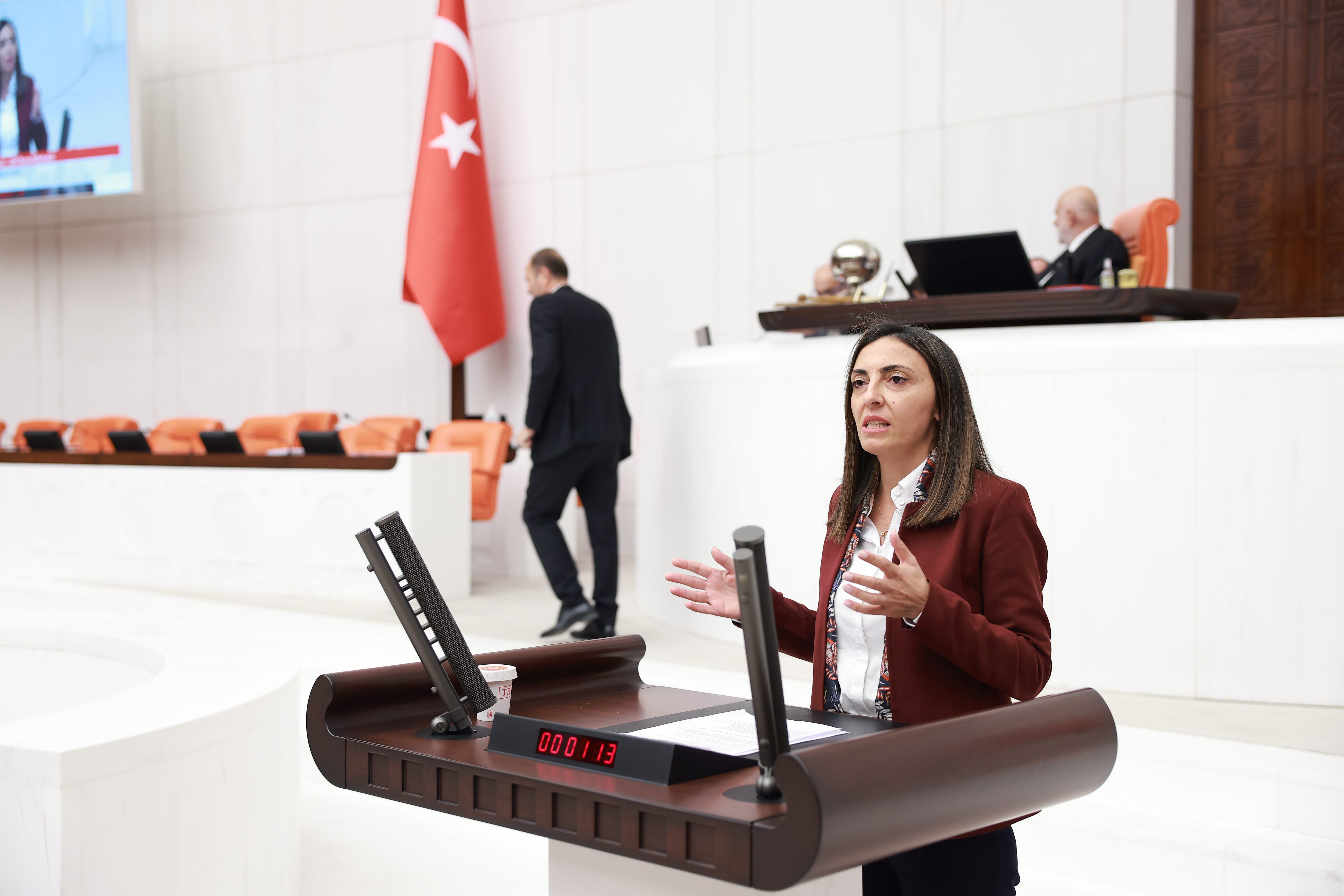 CHP'li Altaca Kayışoğlu: Teklif sahipleri Meclis’te yoy