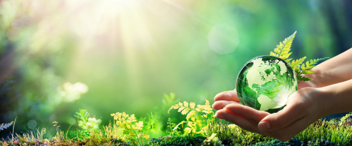 Çevre Kanunu Meclis'te onaylandı