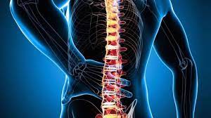 SKOLYOZ HASTALARINDAKİ KRONİK AĞRI UYKU KALİTESİNİ DÜŞÜRÜYOR