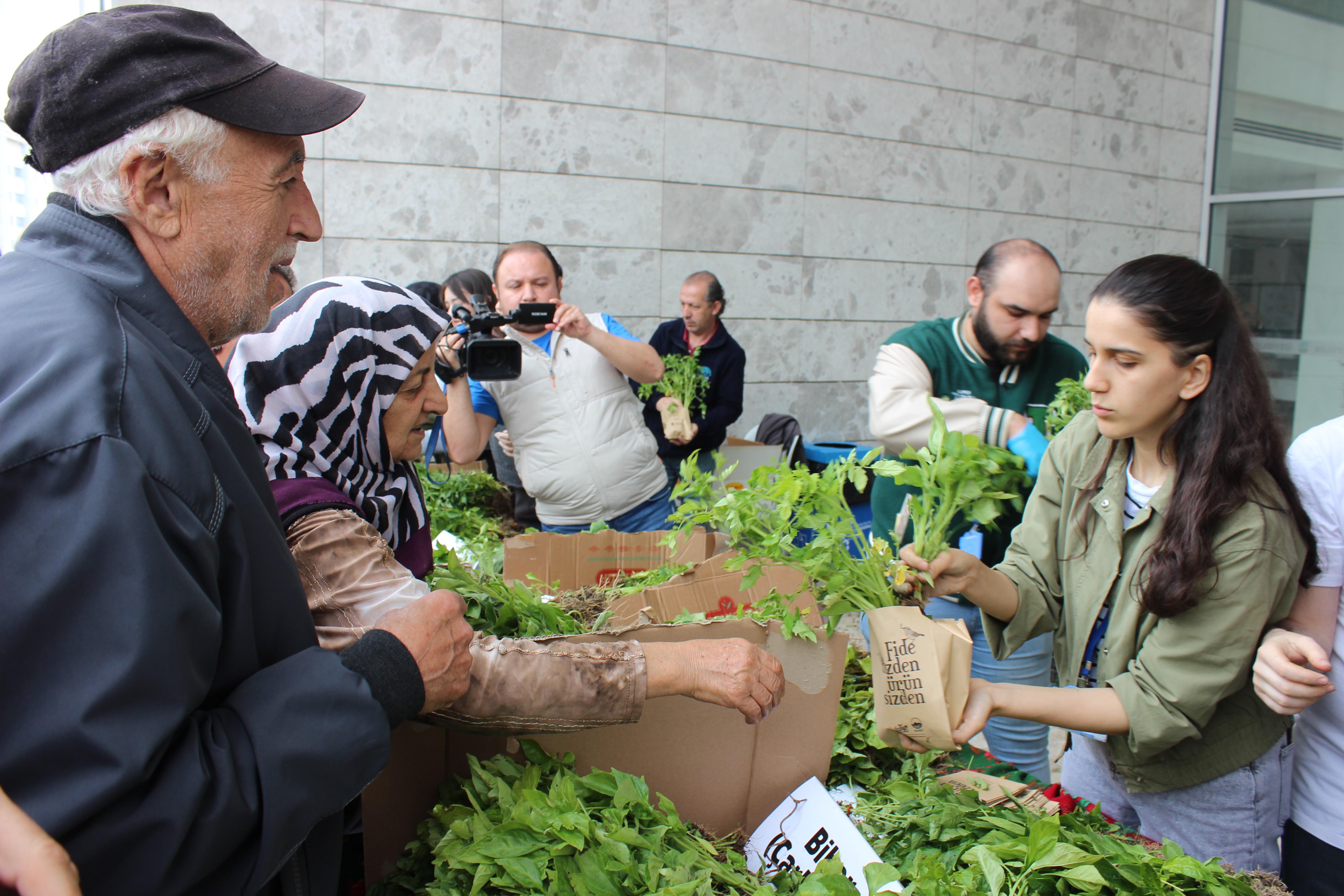 Nilüfer Belediyesi’nde ücretsiz fide dağıtımı