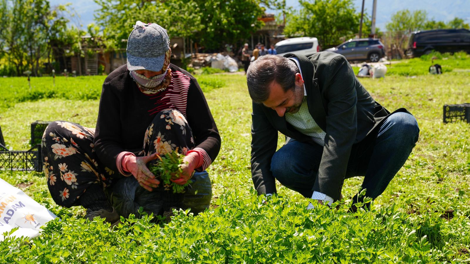 Gürsu Belediyesi'nden sürdürülebilir tarım projesi
