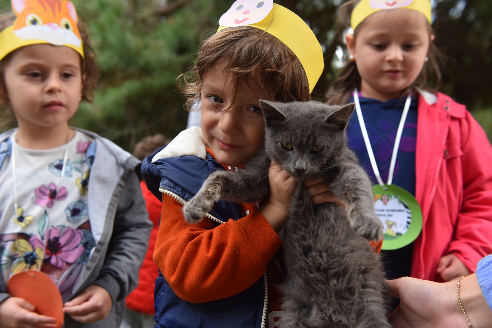 Yıldırım Belediyesi, 625 patili dostu sahiplendirdi