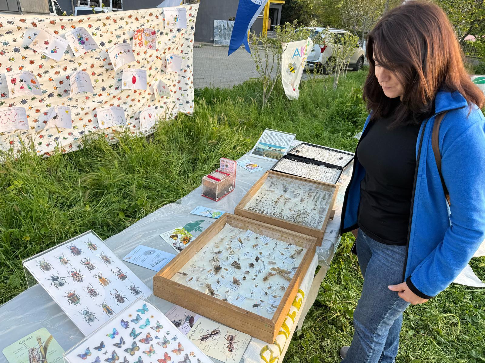 Böcek Bilimi Yeniceabat'ta merak uyandırdı