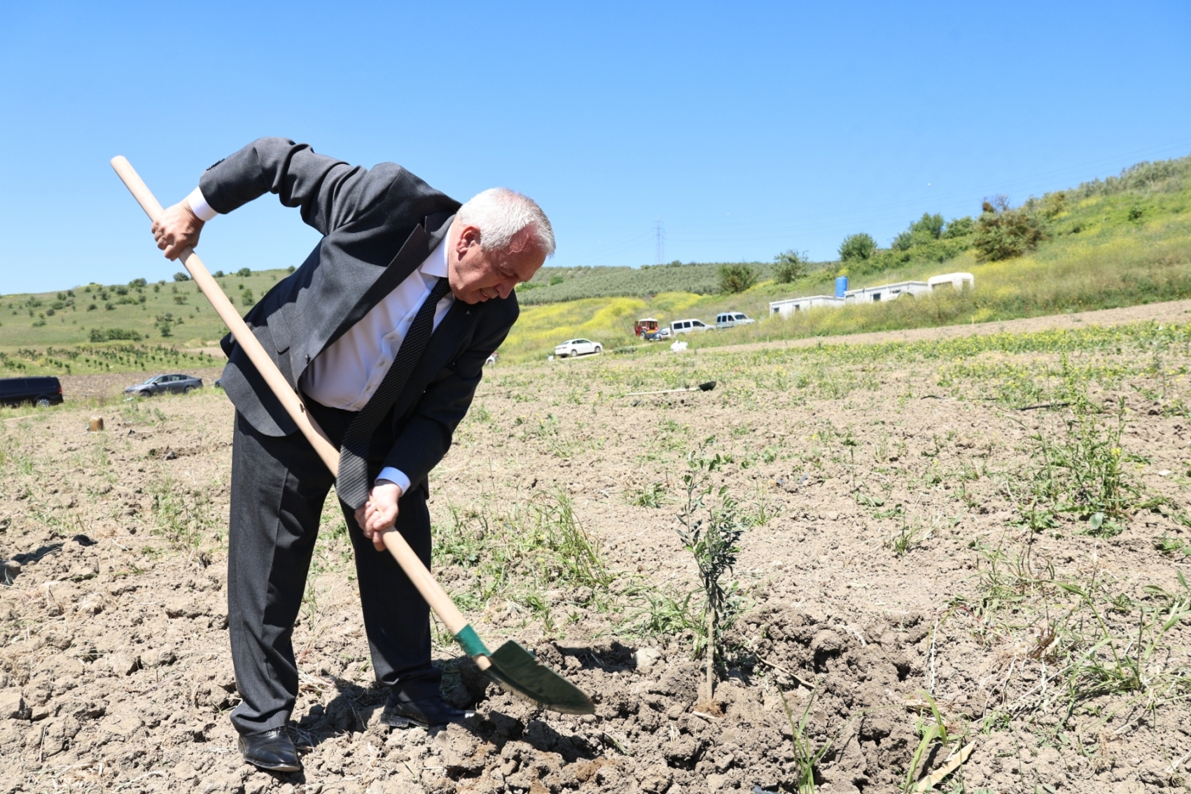 Atıl araziler zeytinlikle buluştu: Nilüfer Belediyesi üretimi teşvik ediyor