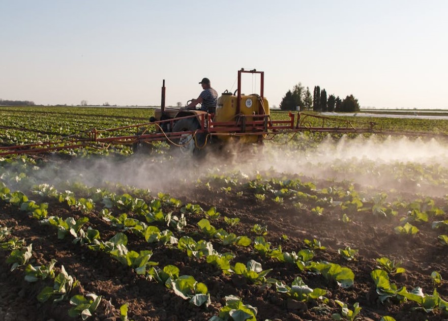 Bursalı çiftçilere müjde: Destek ödemeleri bugün başlıyor