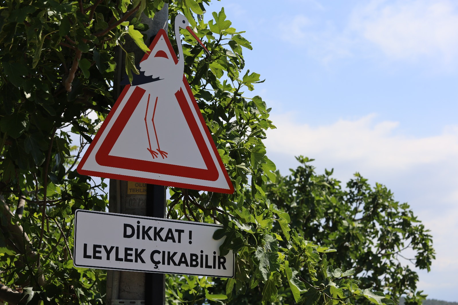 Bursa Leylek Şenliği, Karacabey'de başladı