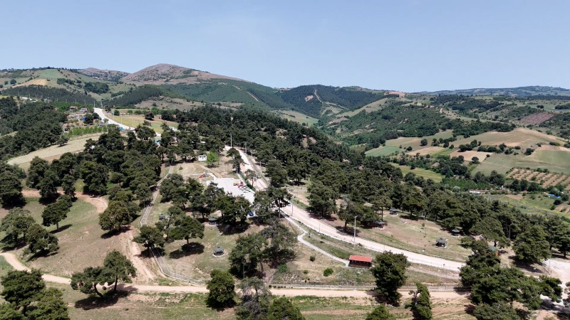 Yenişehir Belediyesi Kozdere Çamlığı’nı ilaçladı