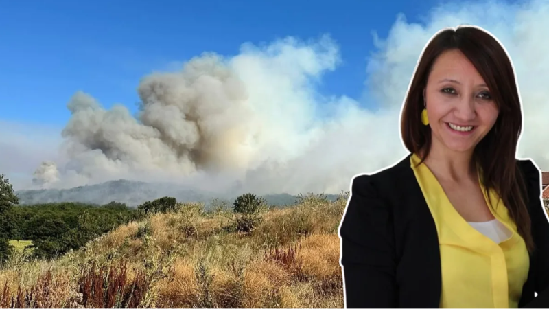 Bilecik’te orman yangını sonrası belediye başkanı dumandan etkilendi