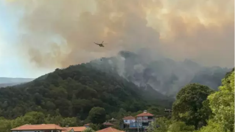 Sakarya’da orman yangını büyüyor: D-650 yolu ulaşıma kapatıldı