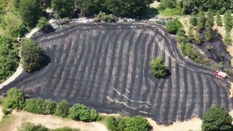 Bozbey’den sert uyarı: “Anız yakmak bilimsel değil, doğaya ihanettir”