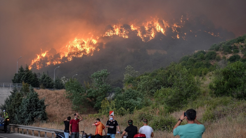 İki il afet bölgesi ilan edildi: İzmir ve Bilecik’te yangın yaraları sarılıyor