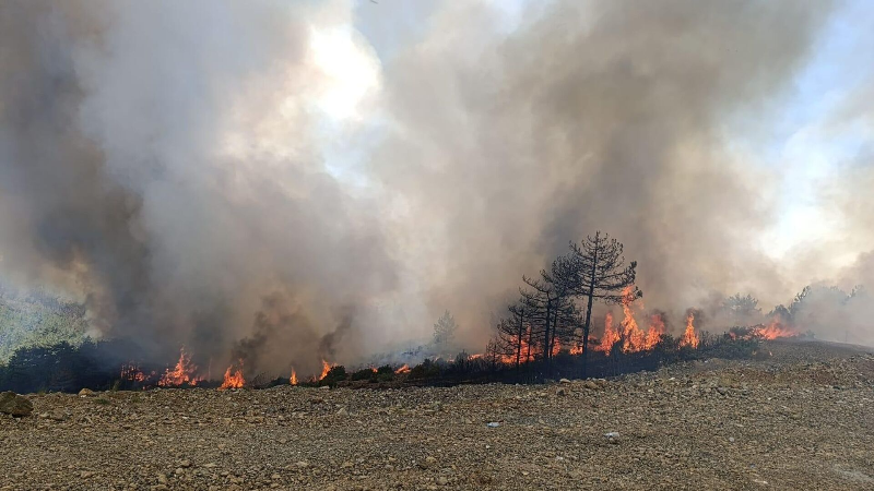 Büyükşehir’den yangın açıklaması: 185 araç, 568 personel sahada