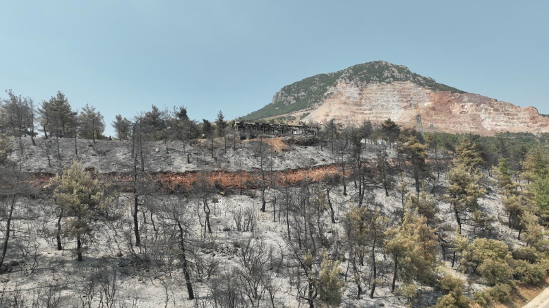 Gürsu yangınında yürek yakan tablo: Katırlı etekleri küle döndü