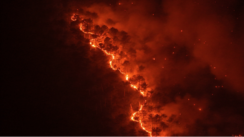 Bursa'da orman yangınında 4. gün