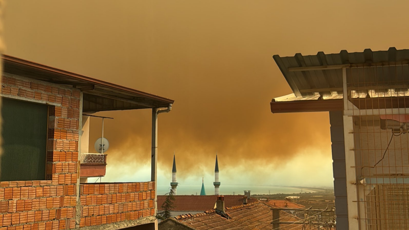 Orman yangını dumanları Bursa şehir merkezinden görüldü