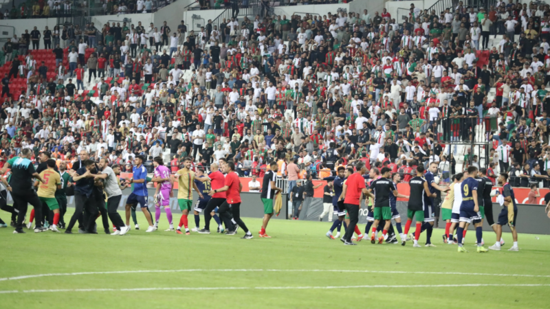 Amedspor-Erzurumspor maçında saha karıştı