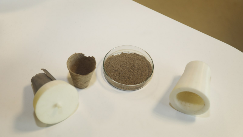 Atık kağıtlar doğada çözünen saksılara dönüşüyor