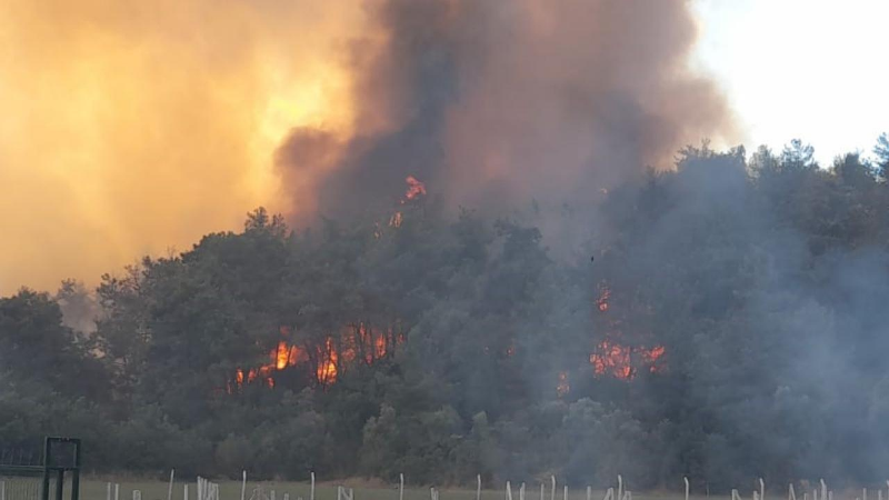 İzmir’de orman yangınına havadan ve karadan müdahale
