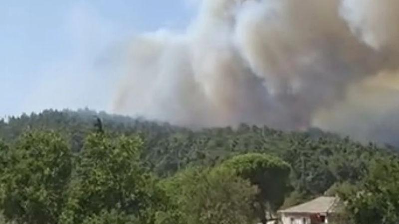 Gelibolu’da çıkan yangına ekipler seferber oldu