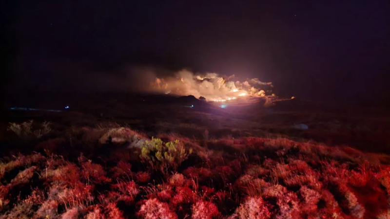 Marmara Adası’nda makilikte başlayan yangın söndürüldü