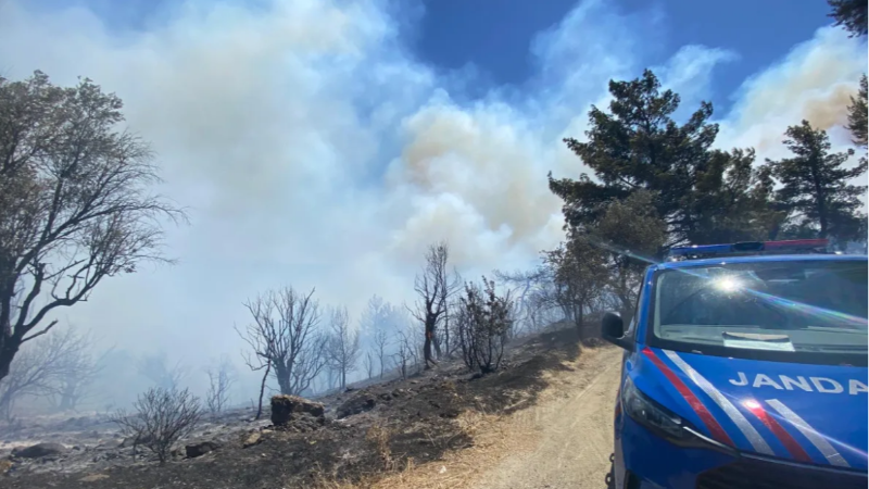 Seferihisar’da orman yangını: Müdahale sürüyor