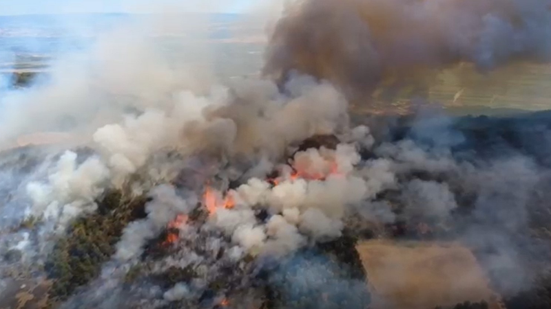Yenişehir'de orman yangını çıktı!