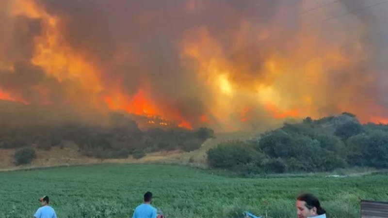 Bursa'da orman yangını: Kontrol altına alma çalışmaları sürüyor