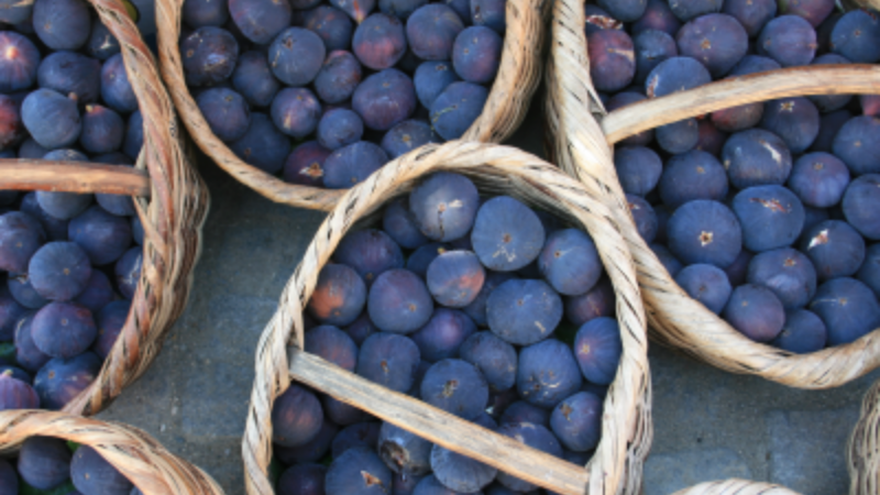 Almanya ve Avusturya'daki keyfi uygulamalar üreticiyi mağdur etti