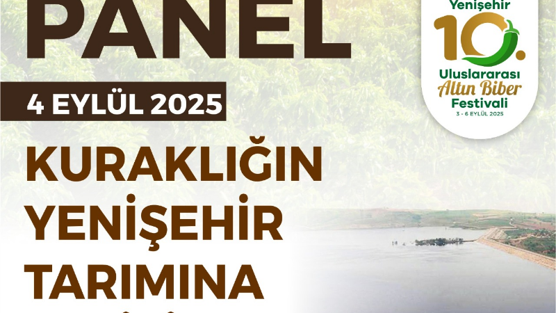 Yenişehir dolu dizgin bir festivalle buluşuyor