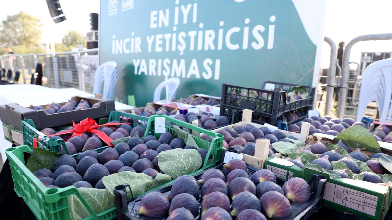 Bursa Siyah İnciri, Akçalar'da kutlanacak