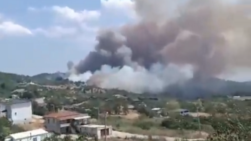 Bursa'da yine yangın....Gündoğdu alevlere teslim oldu