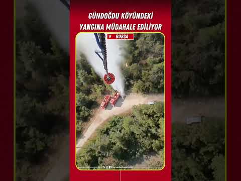 Gündoğdu köyündeki yangına müdahale ediliyor