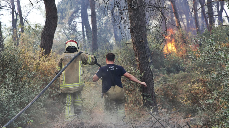 Bursa'da yanan alanlar yeşertilecek