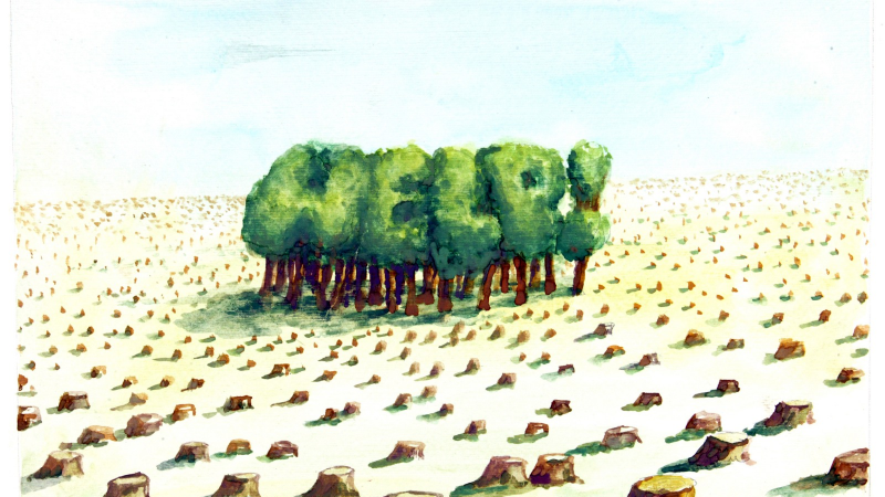 "Küllerinden Yeşeren Umut" sergisi, Nilüfer'de sanatseverlerle kucaklaşıyor