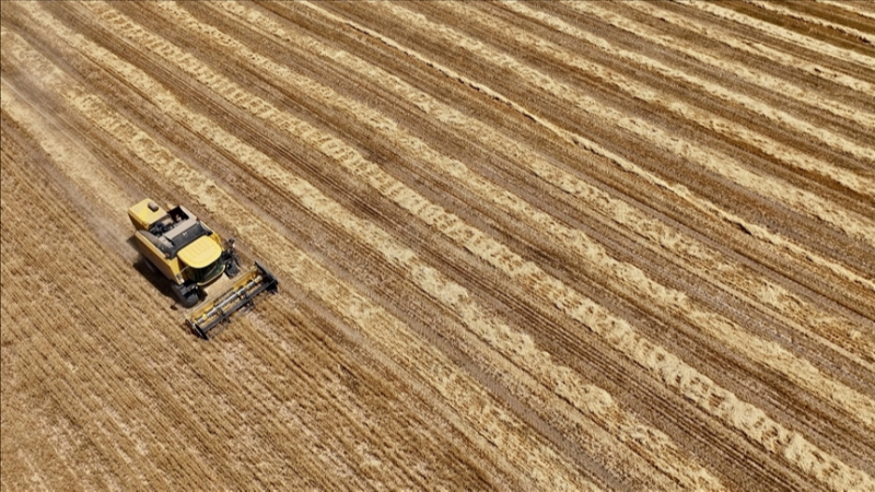 Tarım ÜFE Ağustosta yüzde 3,45 Geriledi
