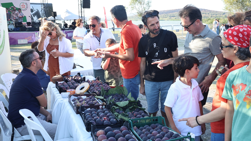 Bursa'nın Kara İncir şöleni: Akçalar'da lezzet dolu günler