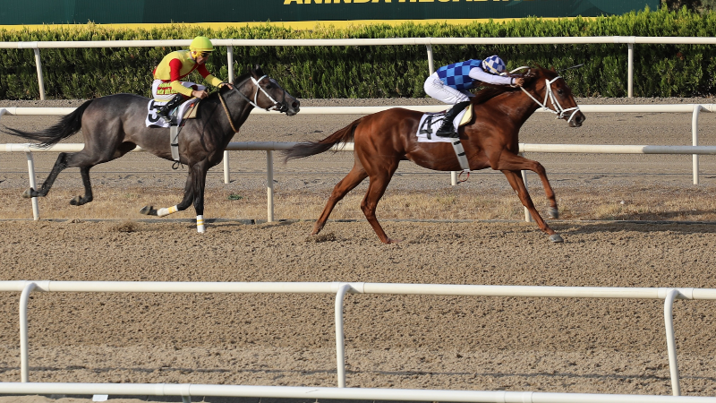 Bursa Büyükşehir Belediye Başkanlığı Koşusunun şampiyonu Tejon Melero