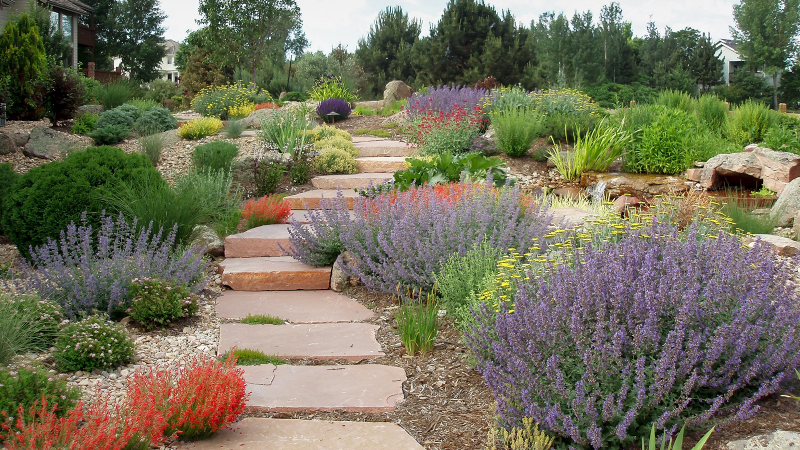Kuraklıkla birlikte kent peyzajında yeni dönem: Sürdürülebilirlik ön planda