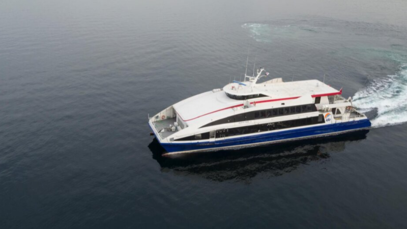 İDO'dan deniz yolcularına kapsamlı güvence