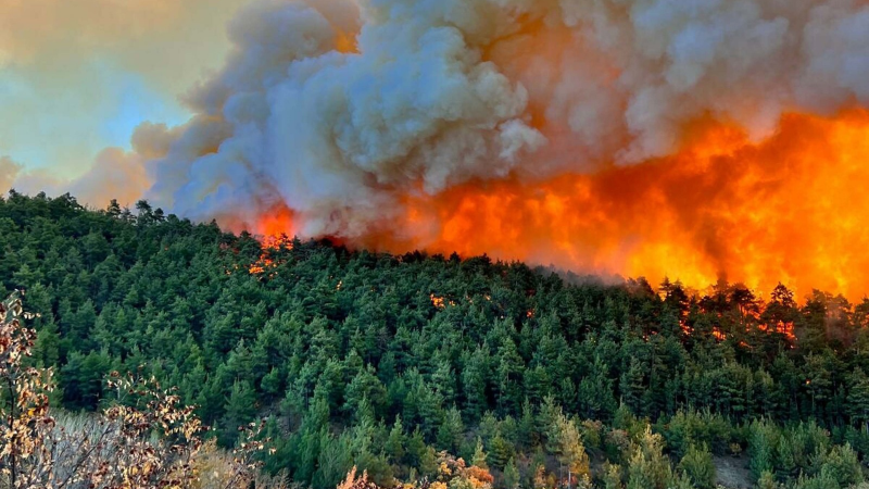 Mimarlar Odası’ndan Yangın Haftası mesajı