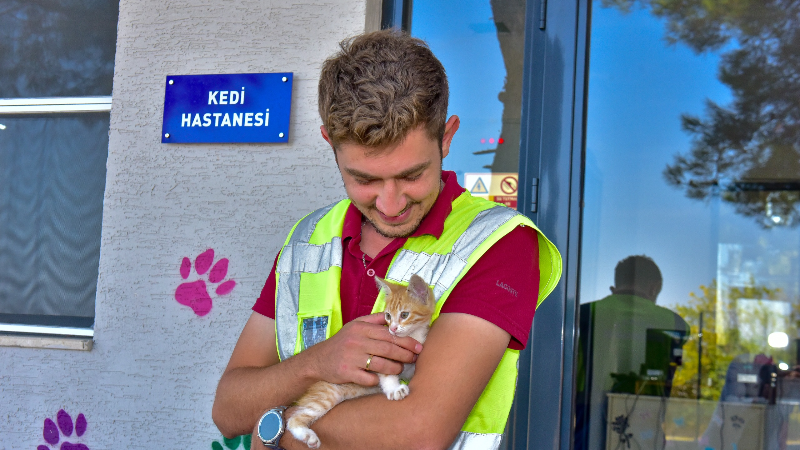 Bursa’da can dostlara şefkat eli