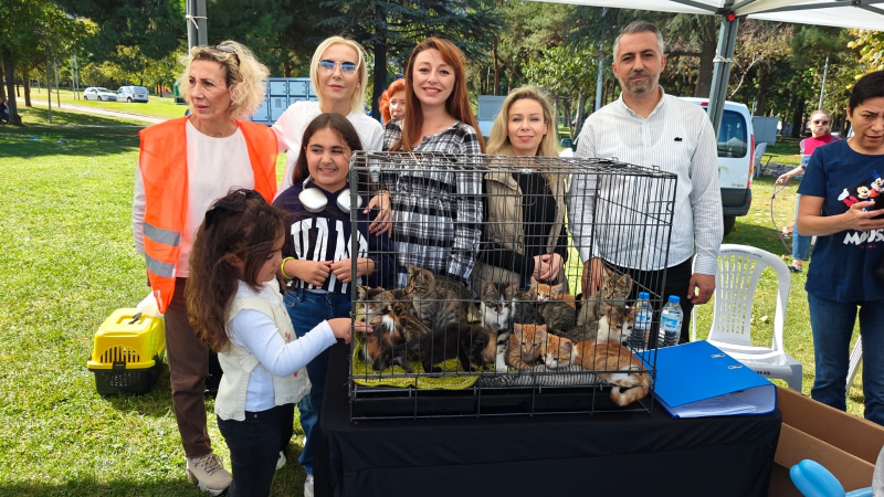 Gemlik’ten anlamlı destek: Merinos Parkı’nda onlarca can dost yuva buldu