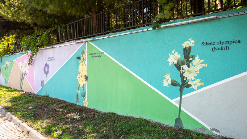 Şehir Estetiği Projesi: Uludağ'ın doğası beton yapılara taşındı