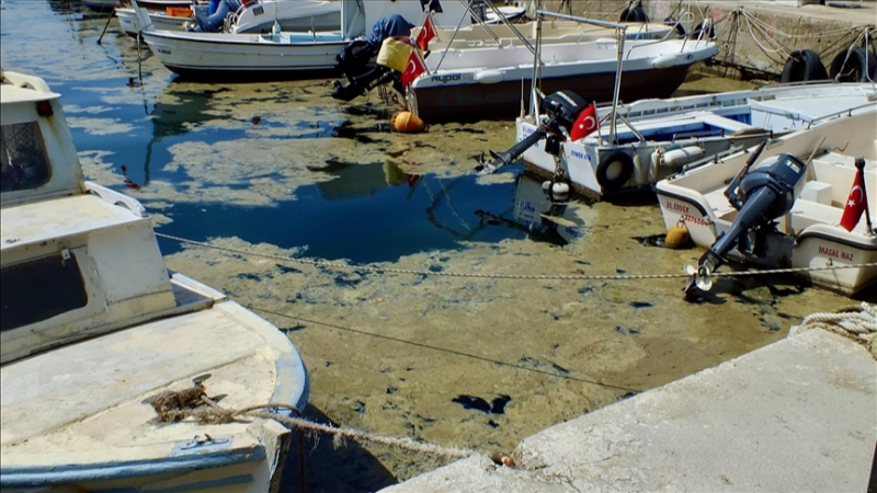 Marmara’daki küçük balıkçılara müsilaj tazminatı