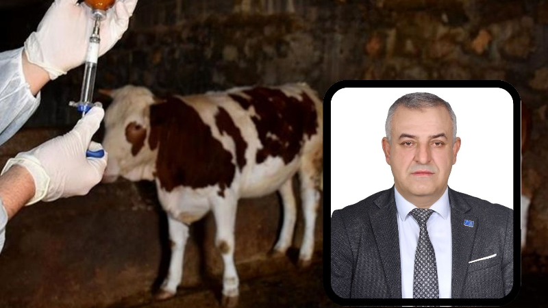 A Parti Mustafakemalpaşa’dan şap hastalığını açıklaması: "Görülmemiş olay"