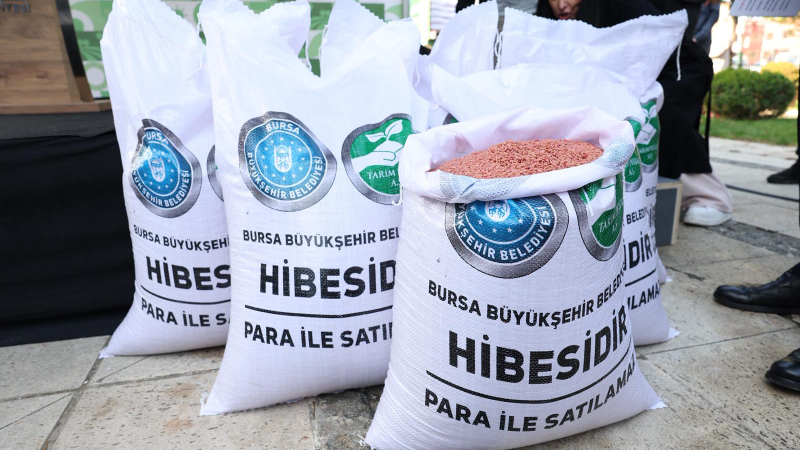 Bursa'da üreticiye tam destek: 44 ton tohumluk buğday hibe edildi