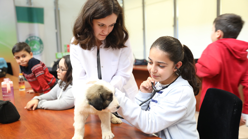 Merinos’ta çocuklar için uygulamalı veterinerlik eğitimi
